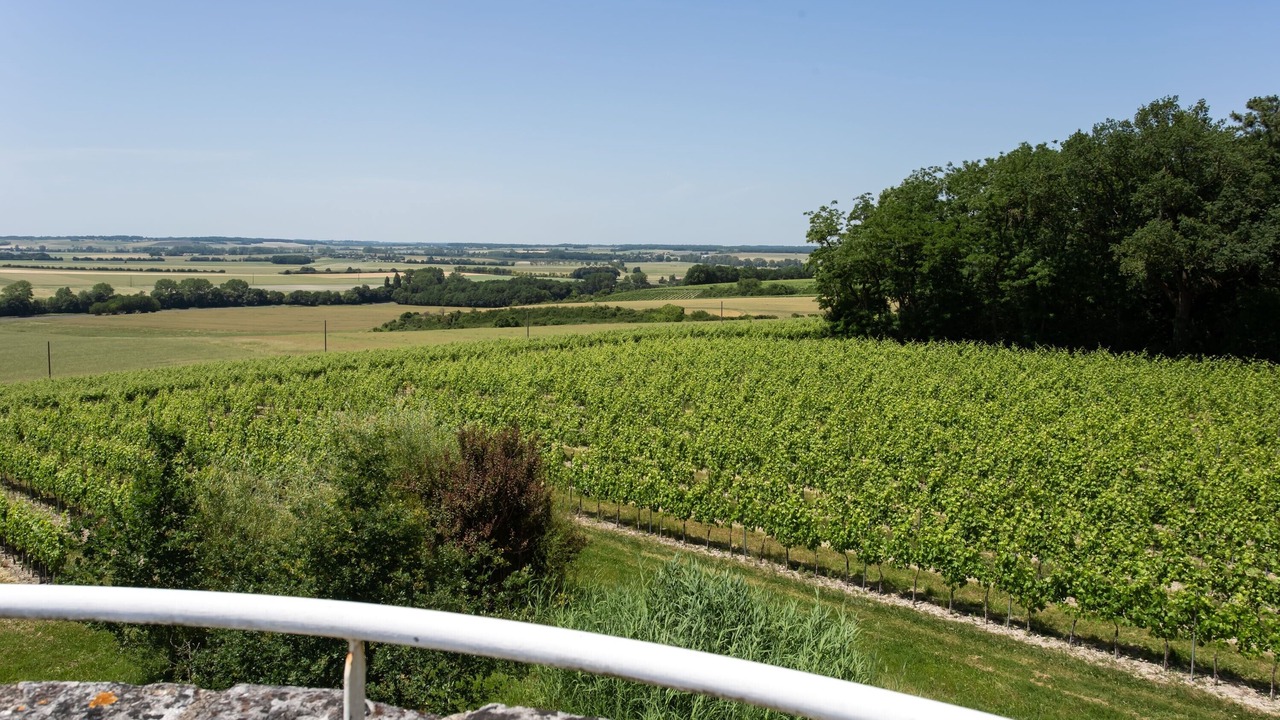 Photo of Others in Haute-Saintonge