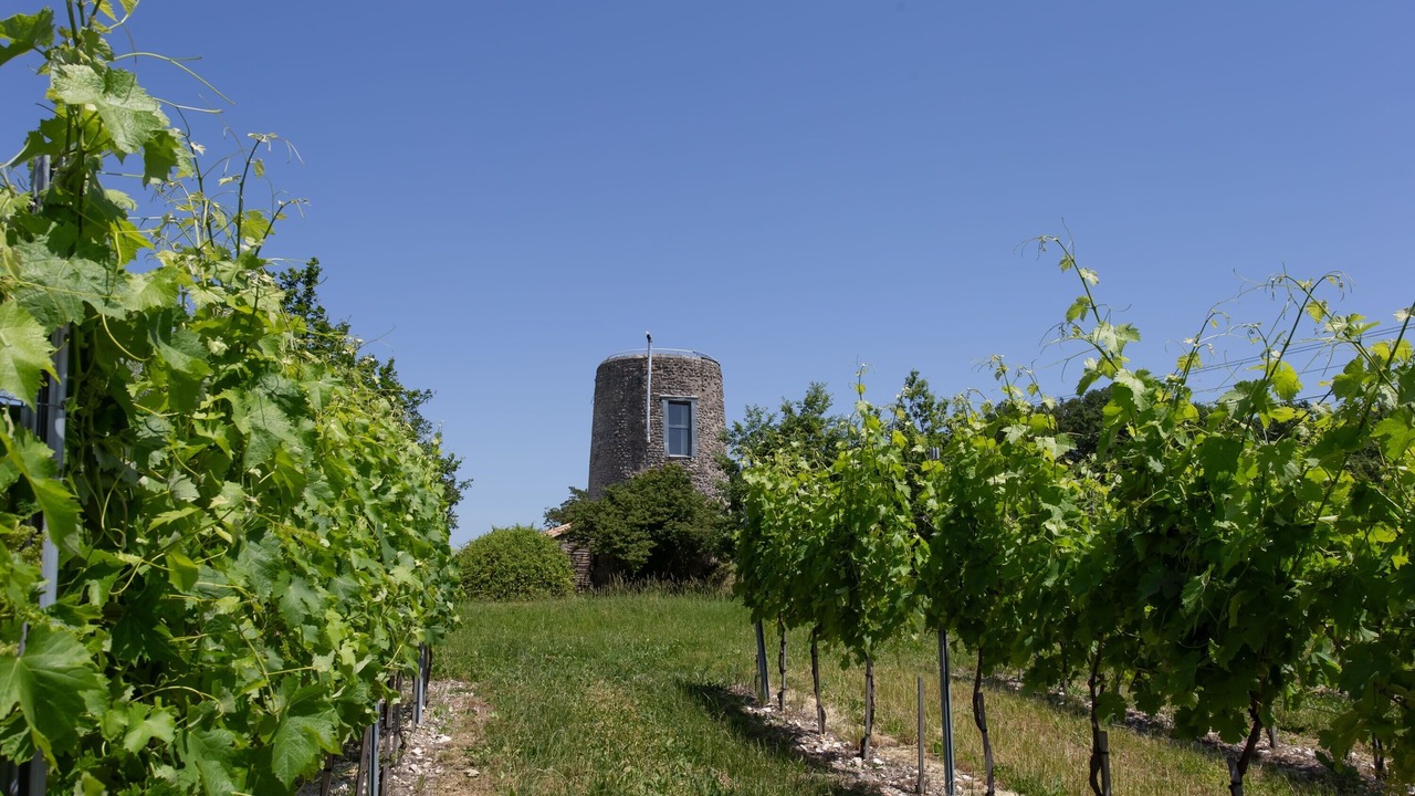 Photo of Others in Haute-Saintonge