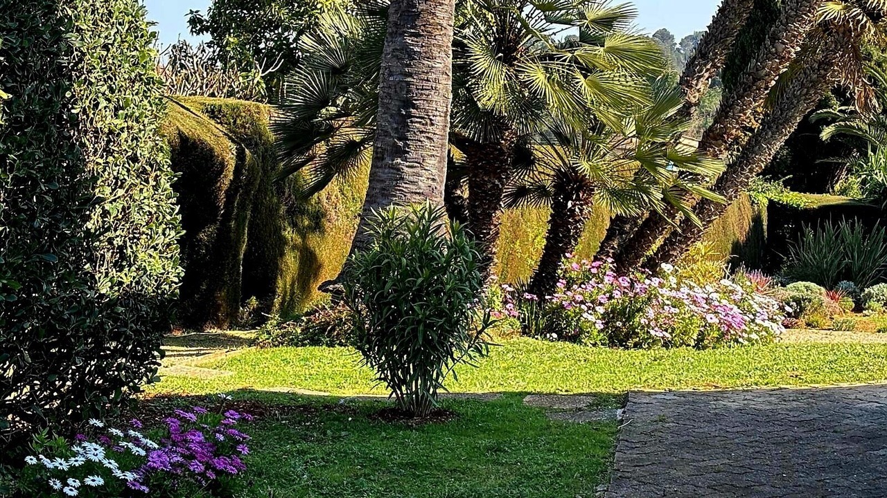 Photo of Outdoor in Biot