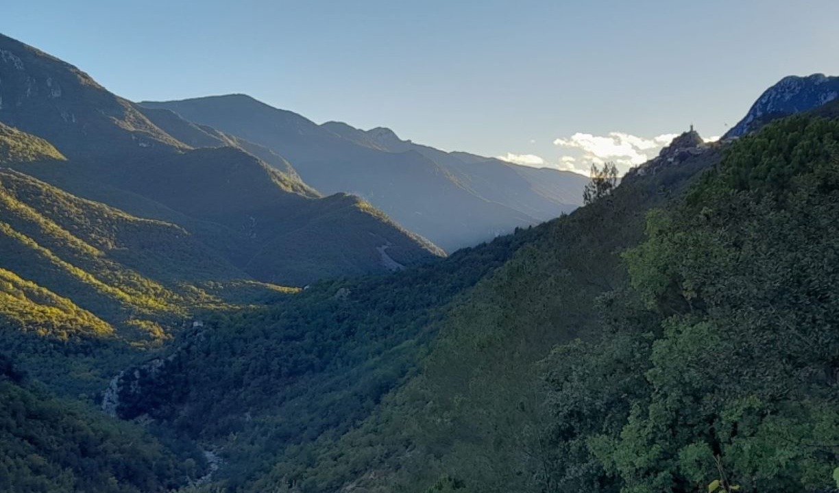 Photo of Others in Sigale
