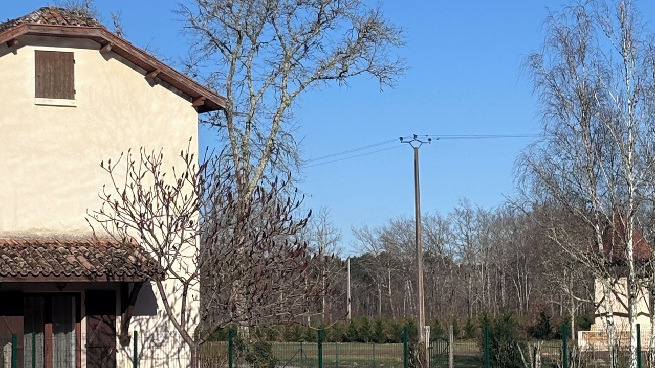 Photo of Outdoor in Marions