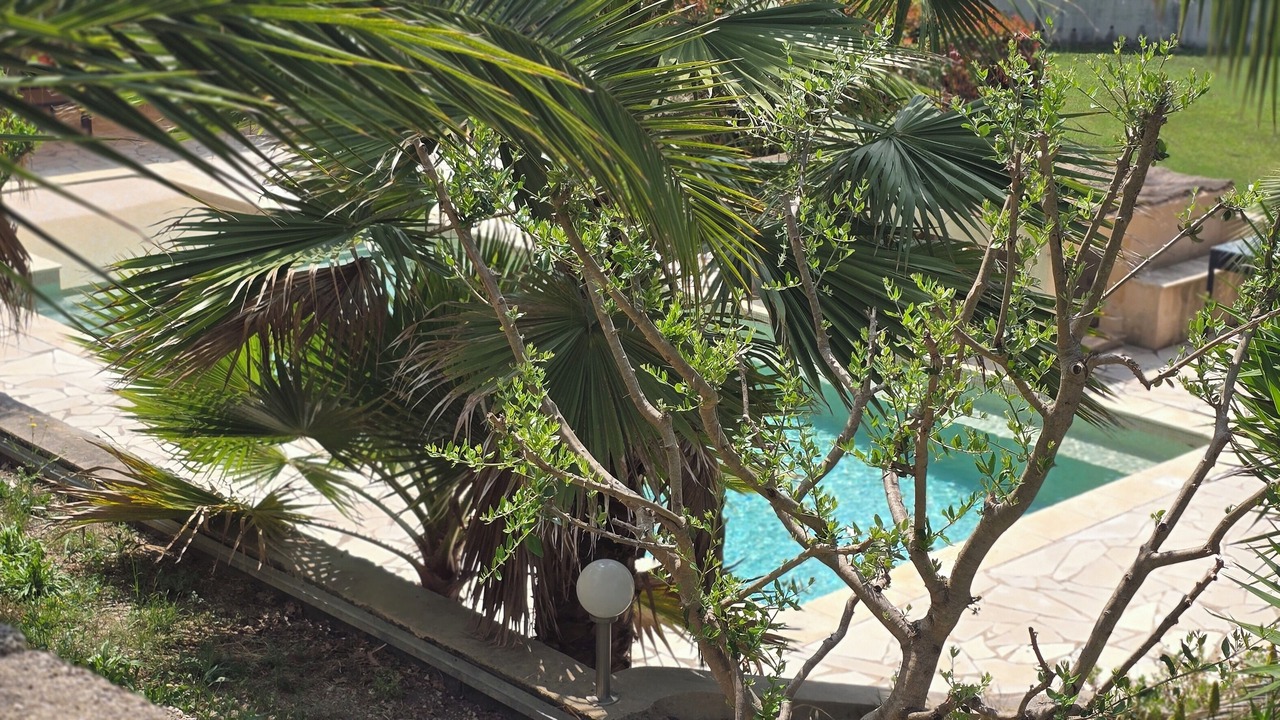 Photo of Outdoor in Le Plan-de-Grasse