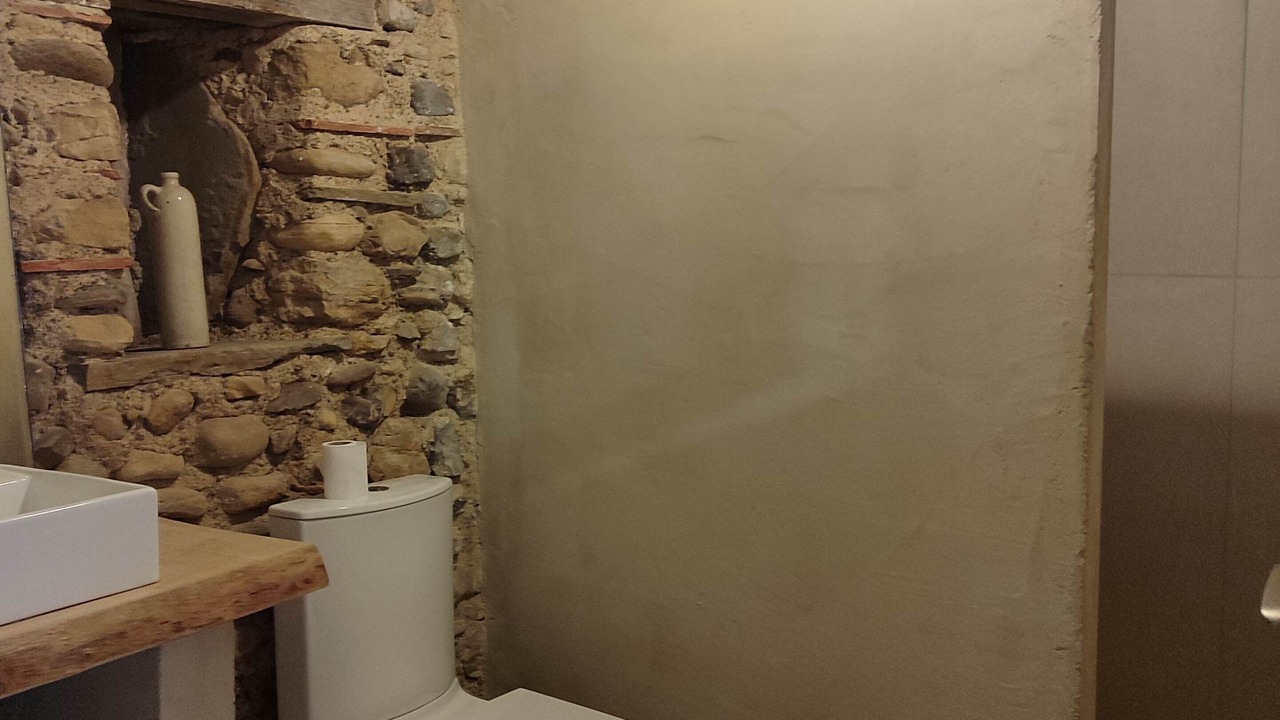 Photo of Bathroom in Monein
