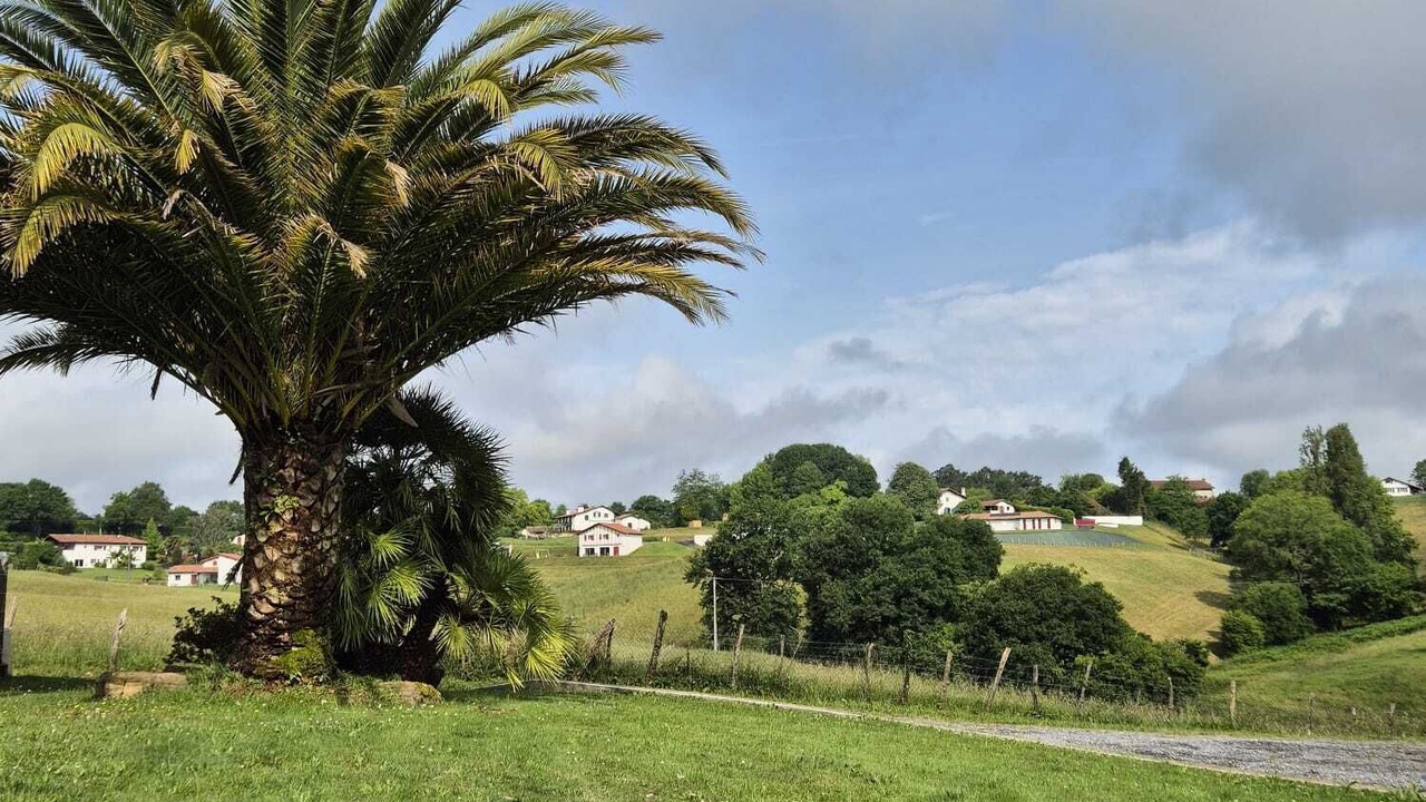 Photo of Outdoor in Bardos