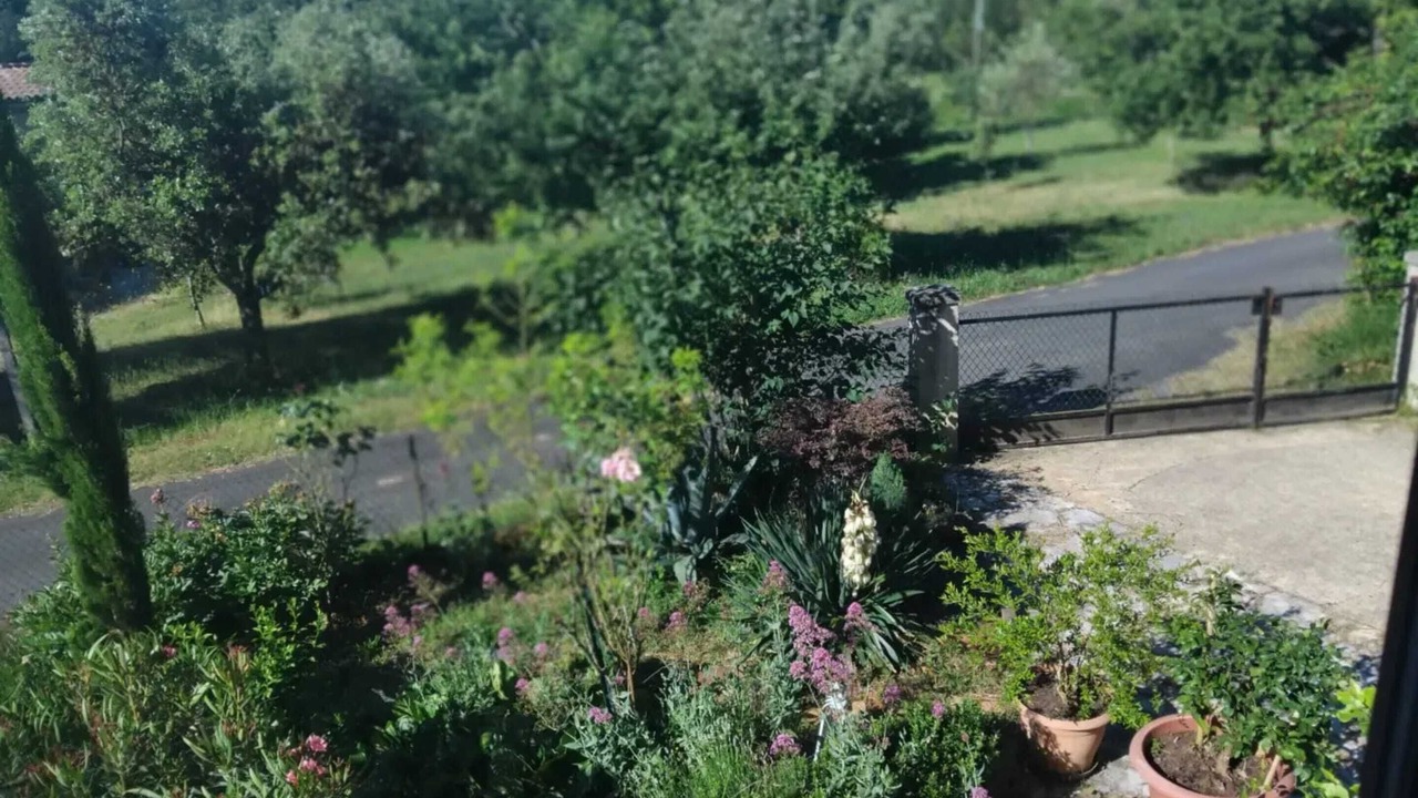 Photo of Outdoor in Saint-Genies