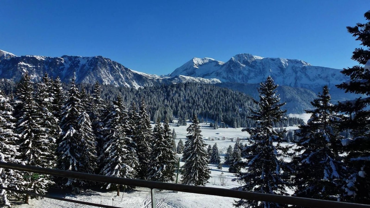 Photo of Others in Chamrousse
