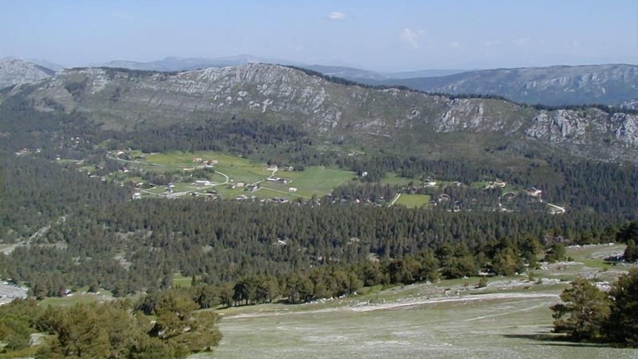Photo of Others in Caille