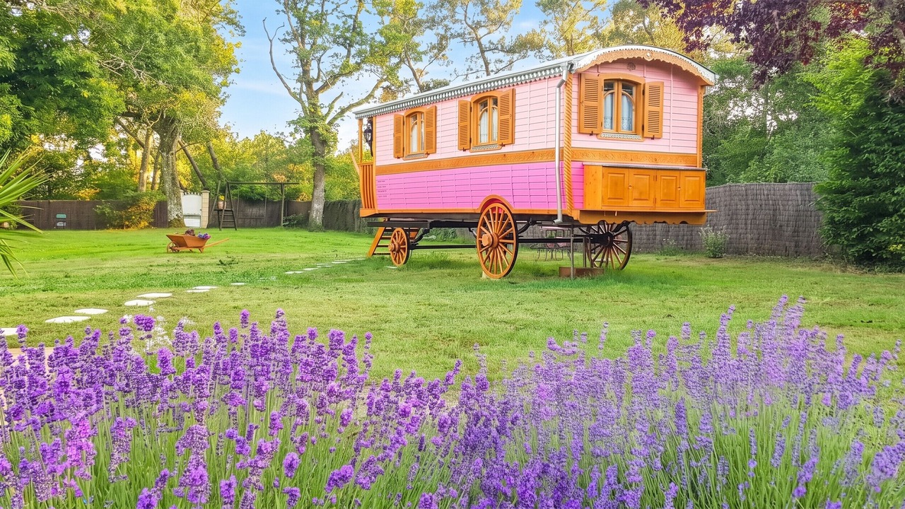 Photo of Outdoor in Bussac-Foret