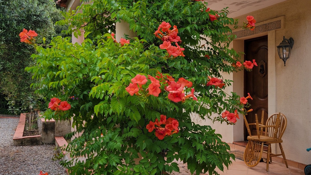 Photo of Outdoor in Saint-Jacques