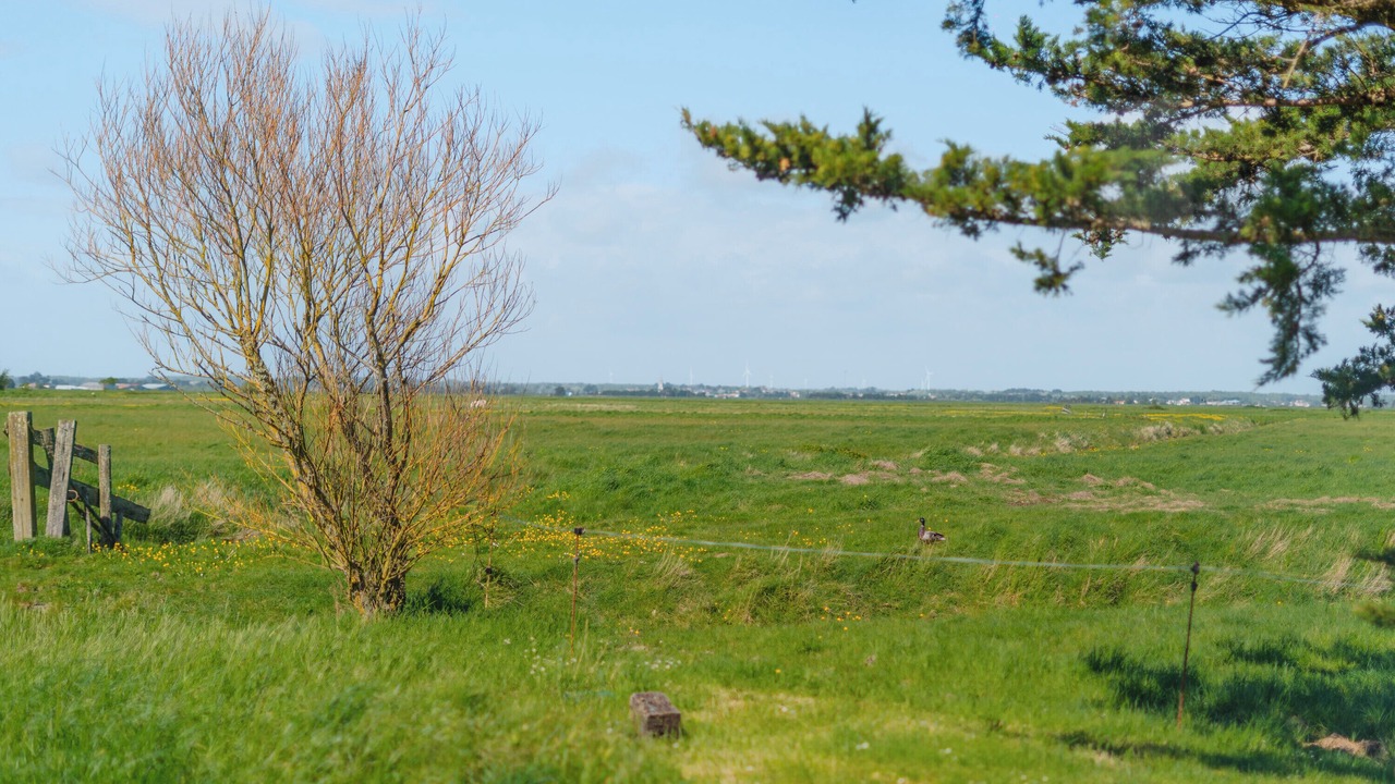 Photo of Others in Bouin