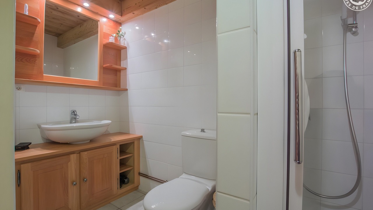 Photo of Bathroom in Montricher-Albanne