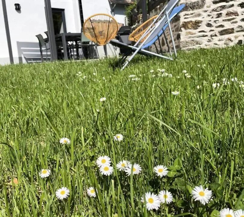 Photo of Outdoor in Salon-la-Tour