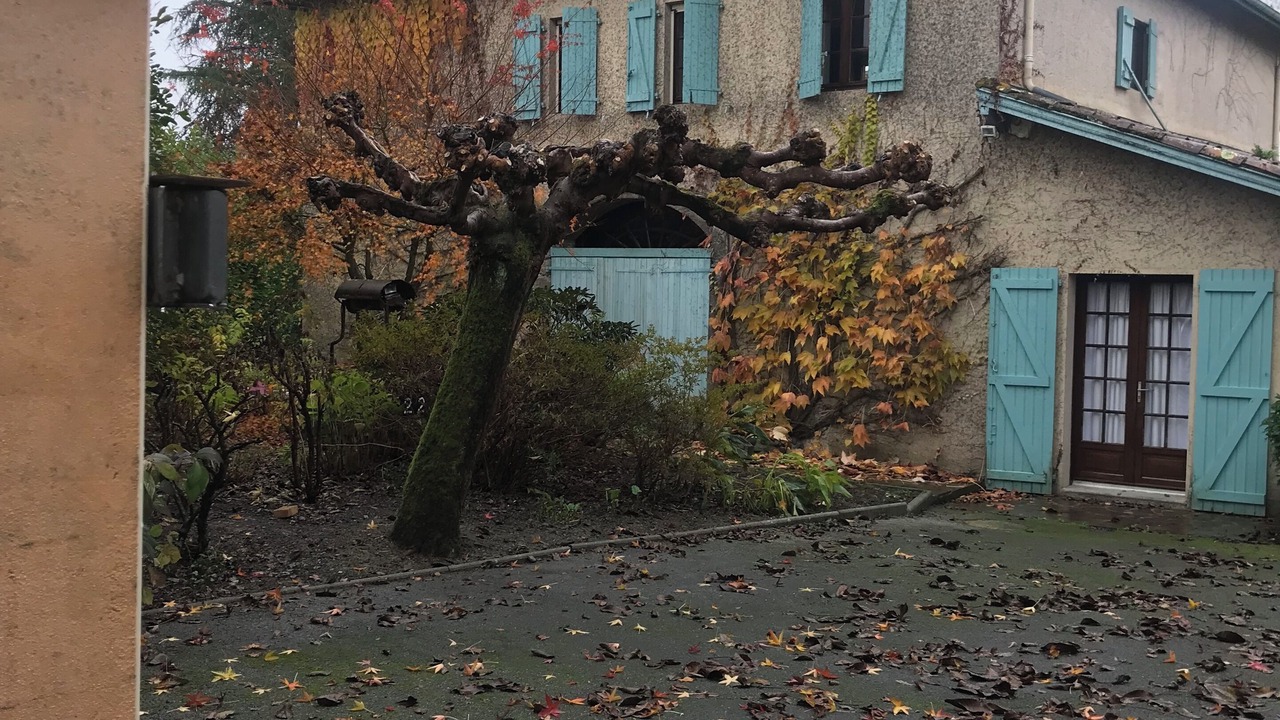 Photo of Outdoor in Saint-Gladie-Arrive-Munein