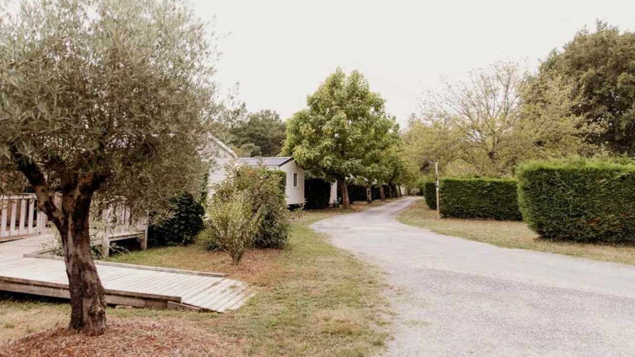 Photo of Outdoor in Saint-Laurent-de-Medoc