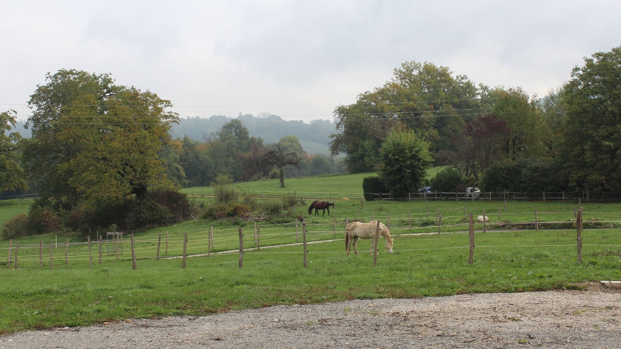 Photo of Others in Balmont