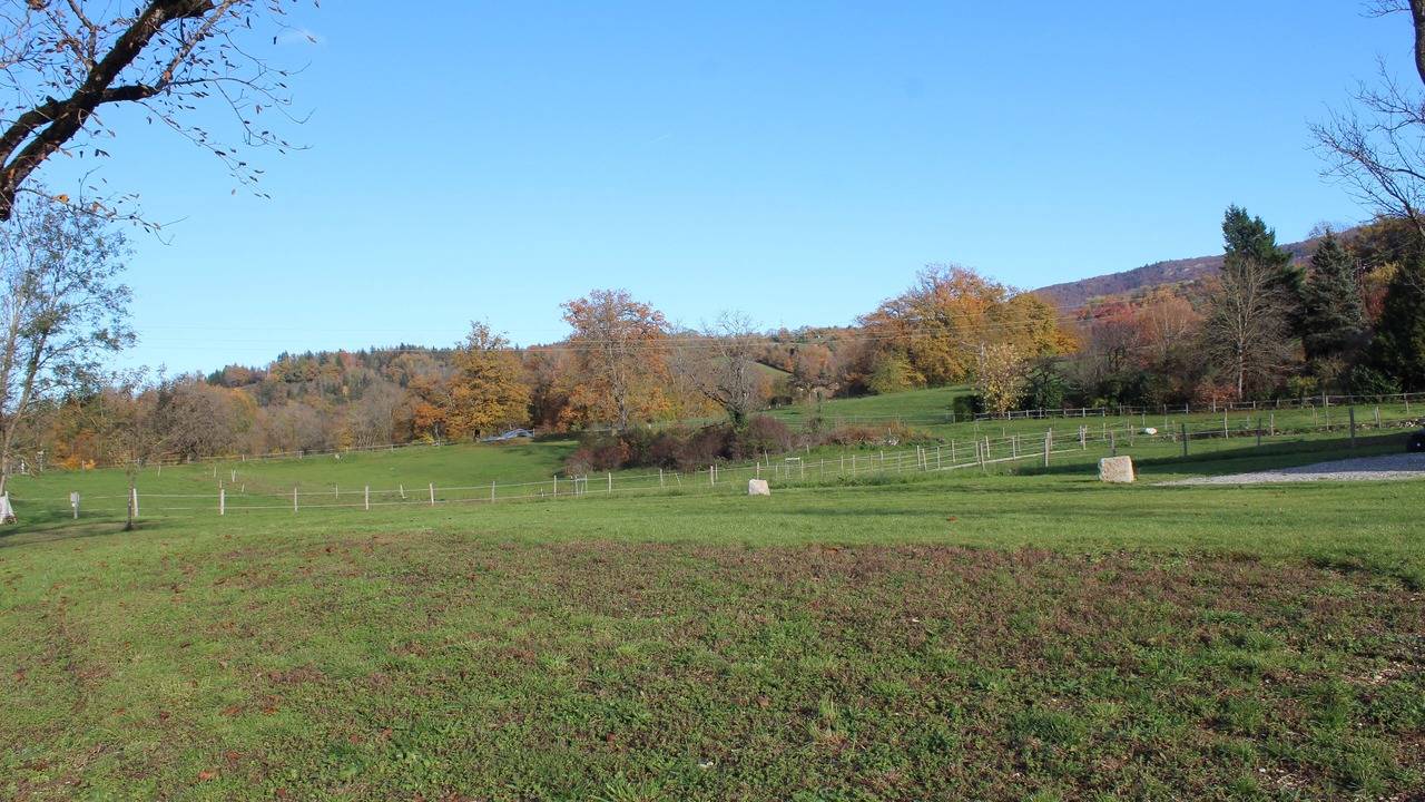 Photo of Others in Balmont