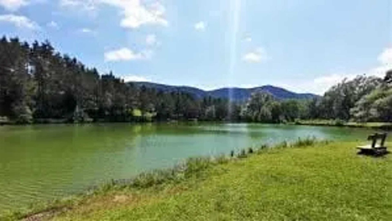 Photo of Others in Greolieres
