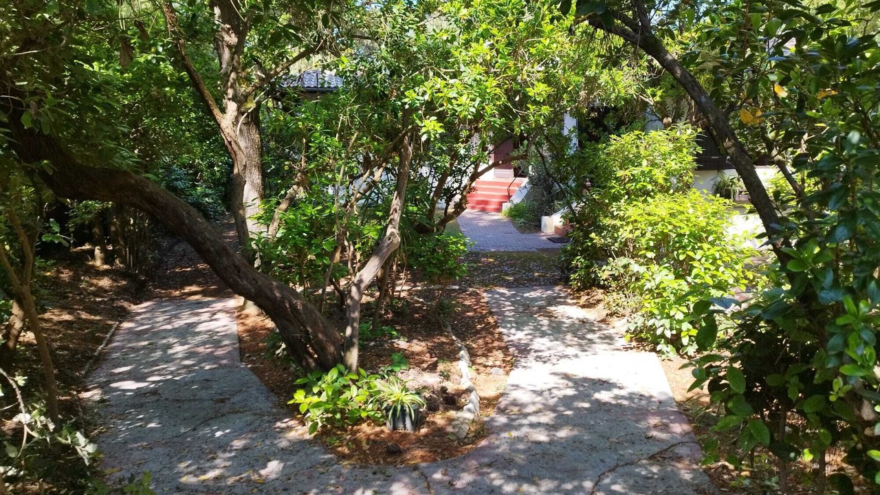 Photo of Outdoor in Le Moulleau