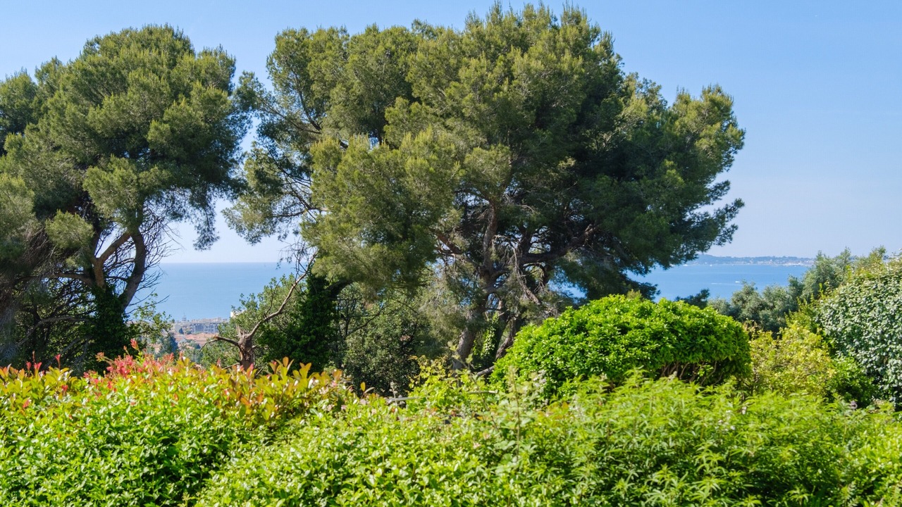 Photo of Others in Cagnes-sur-Mer