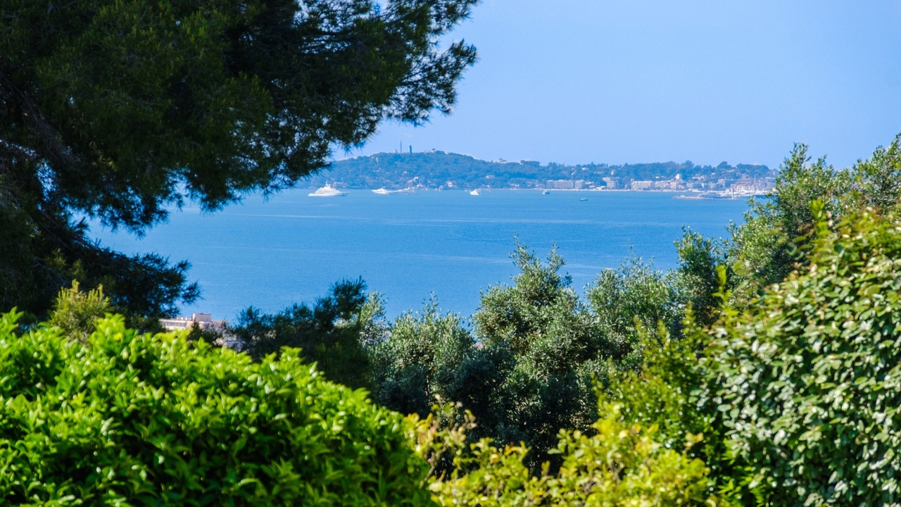 Photo of Others in Cagnes-sur-Mer