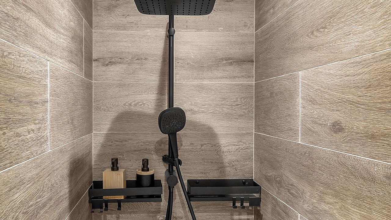 Photo of Bathroom in Carabacel