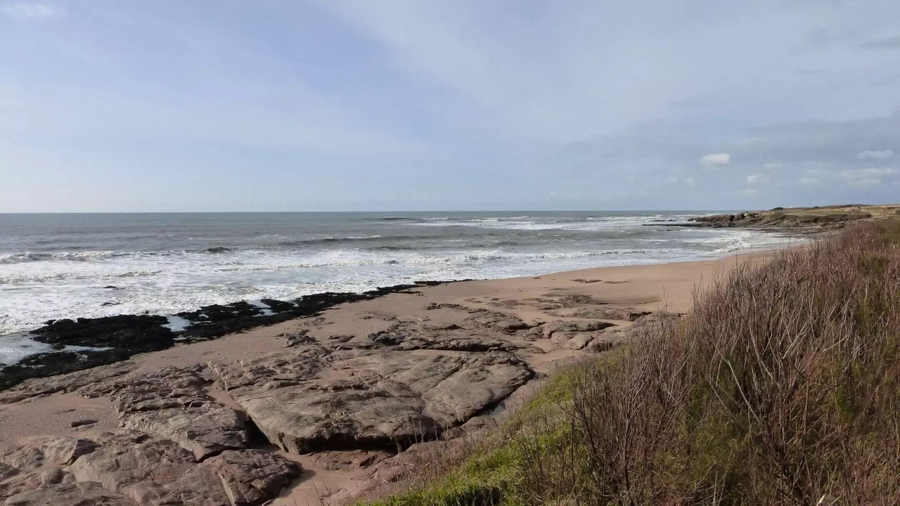 Photo of Others in Bretignolles-sur-Mer