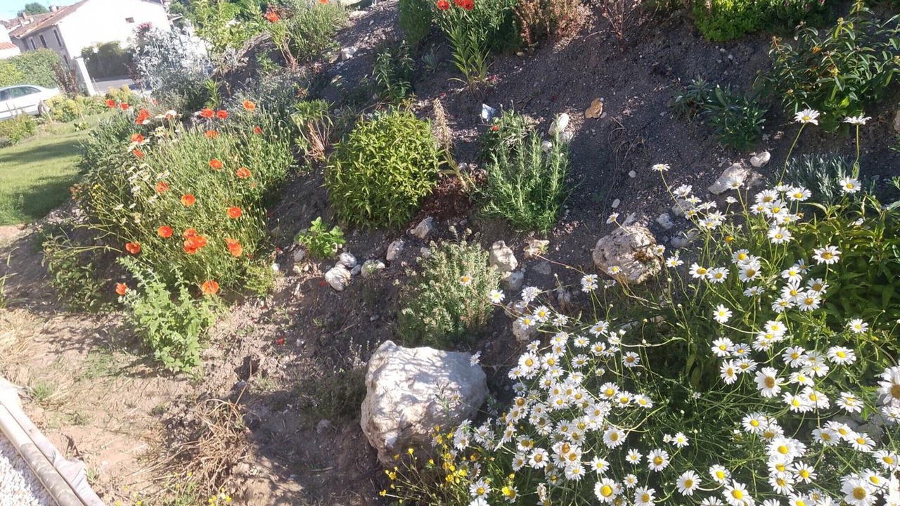 Photo of Outdoor in Baignes-Sainte-Radegonde