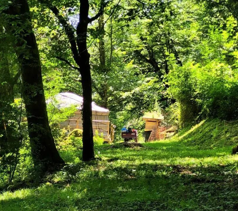 Photo of Outdoor in Rosiers (chasteaux)