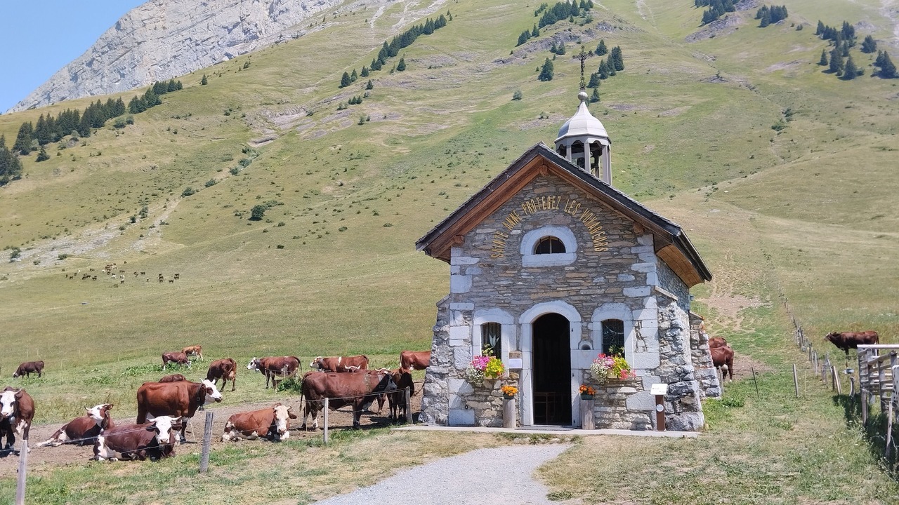 Photo of Others in Tournon