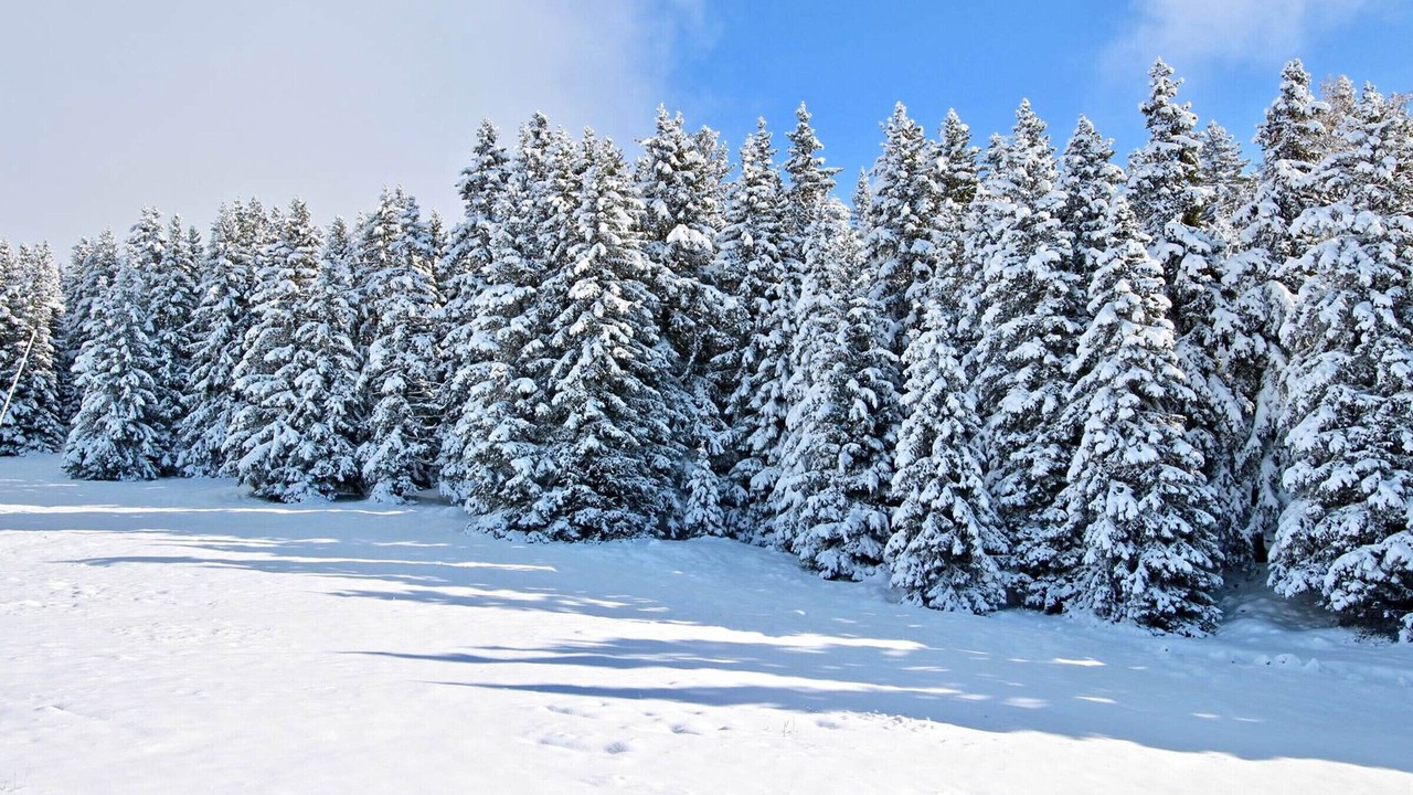 Photo of Others in Chamrousse