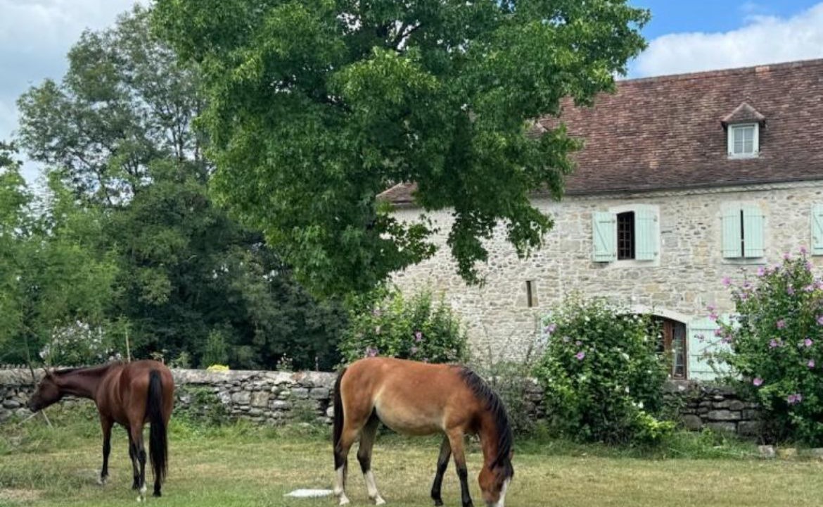 Photo of Others in Saint-Gladie-Arrive-Munein
