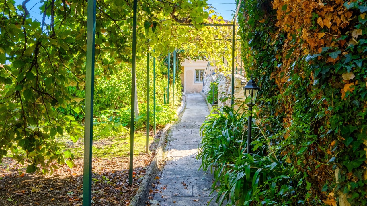 Photo of Outdoor in Beausoleil
