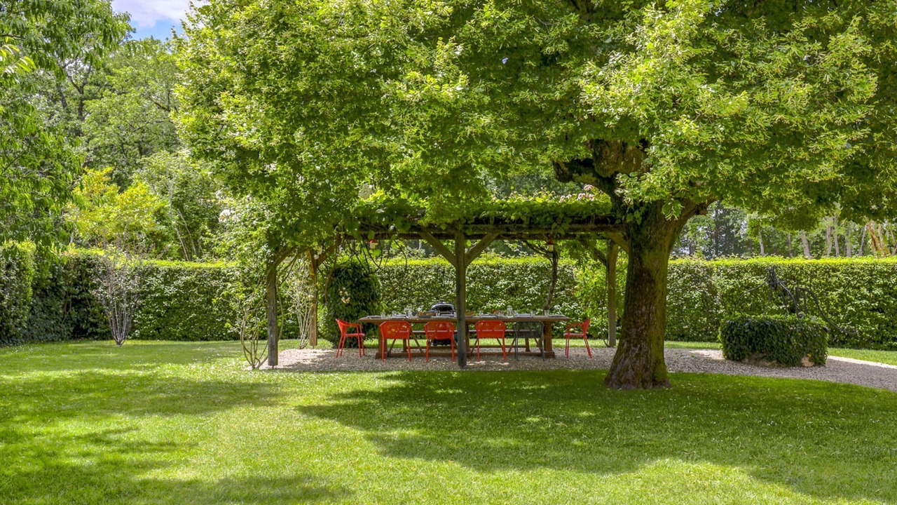 Photo of Outdoor in Puisseguin