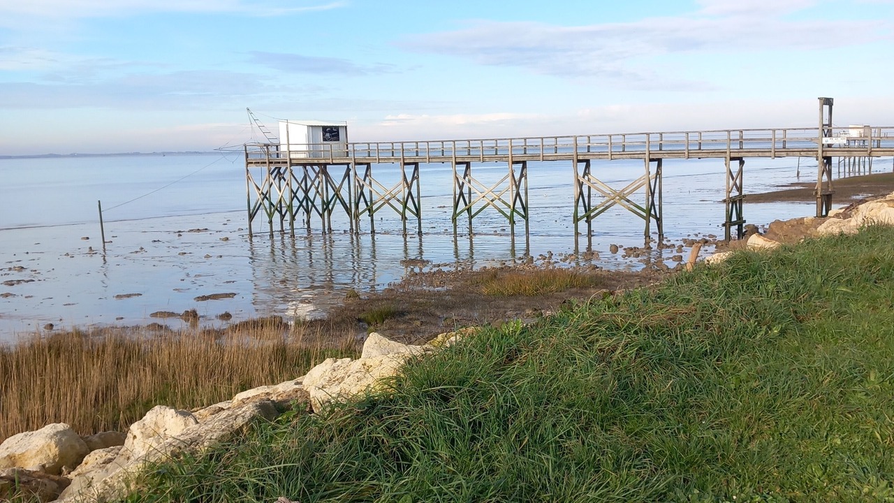 Photo of Others in Saint-Bonnet-sur-Gironde