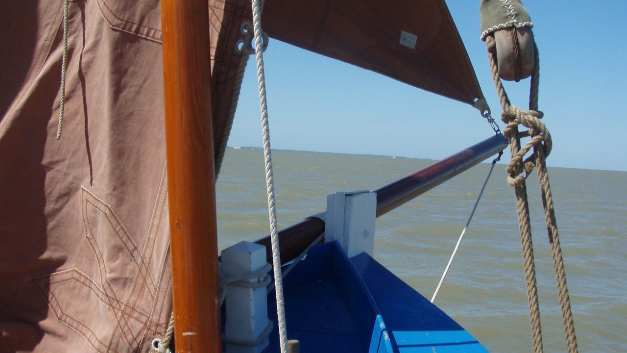 Photo of Others in Saint-Bonnet-sur-Gironde