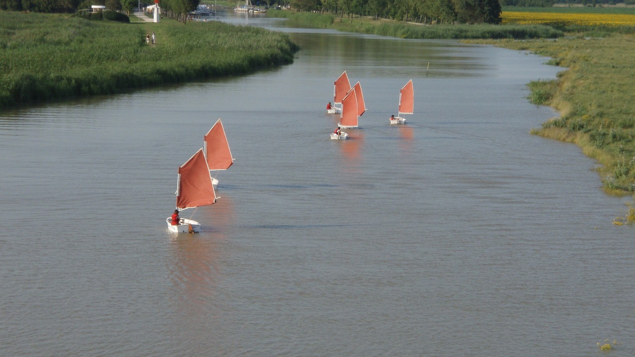 Photo of Others in Saint-Bonnet-sur-Gironde