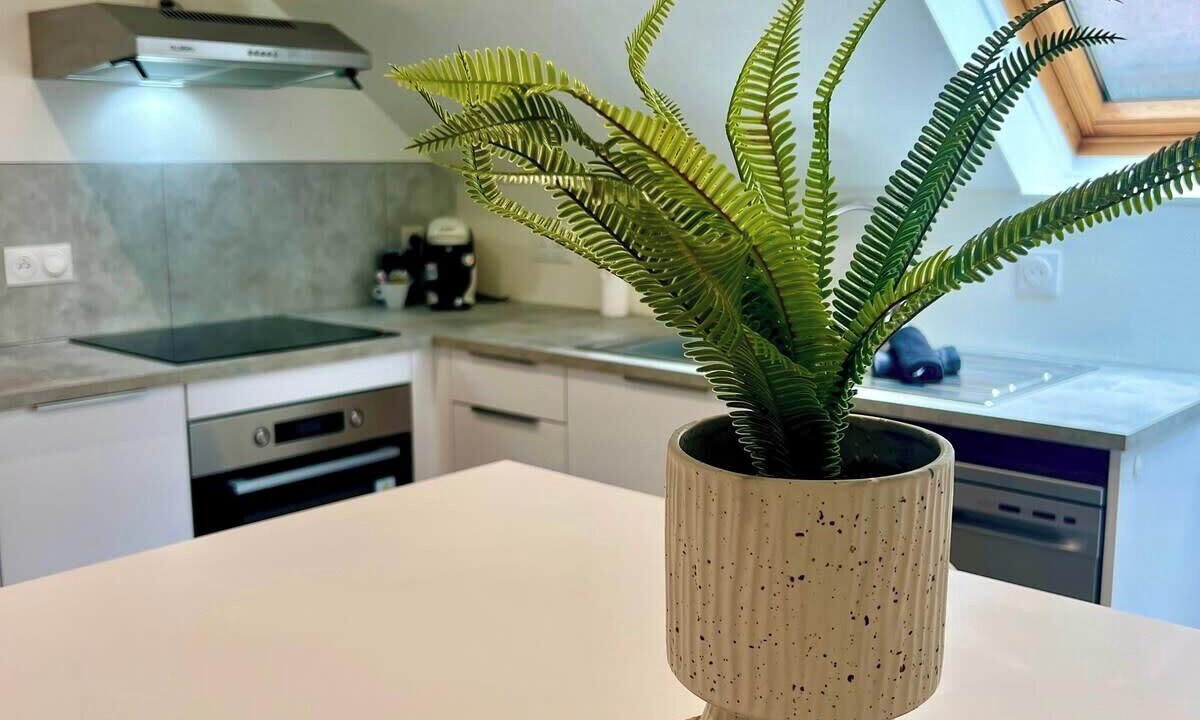 Photo of Kitchen in Brive-la-Gaillarde