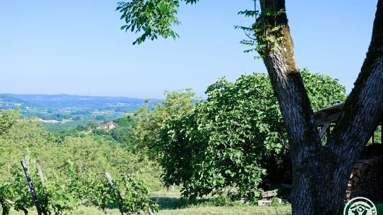 Photo of Outdoor in Queyssac-les-Vignes