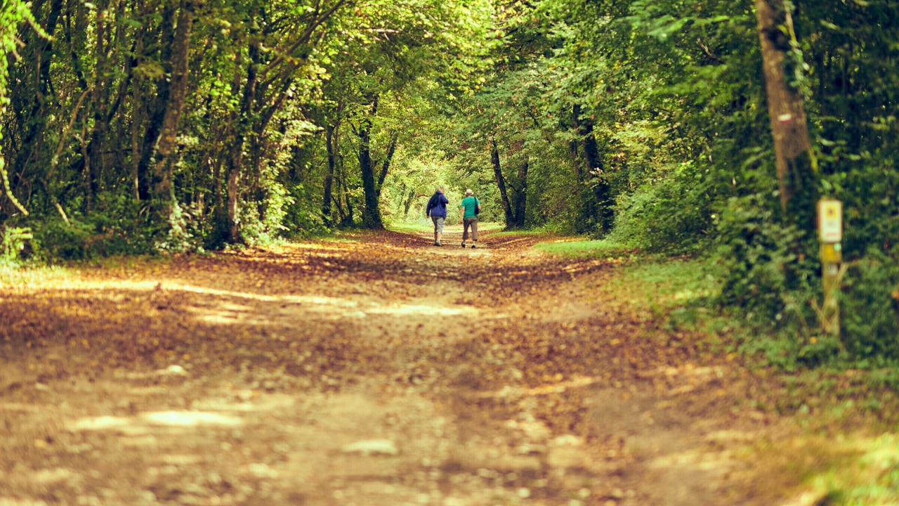 Photo of Others in Saint-Romain-de-Benet