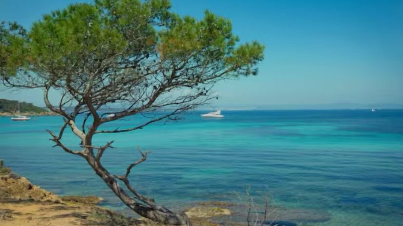 Photo of Others in Roquefort-les-Pins