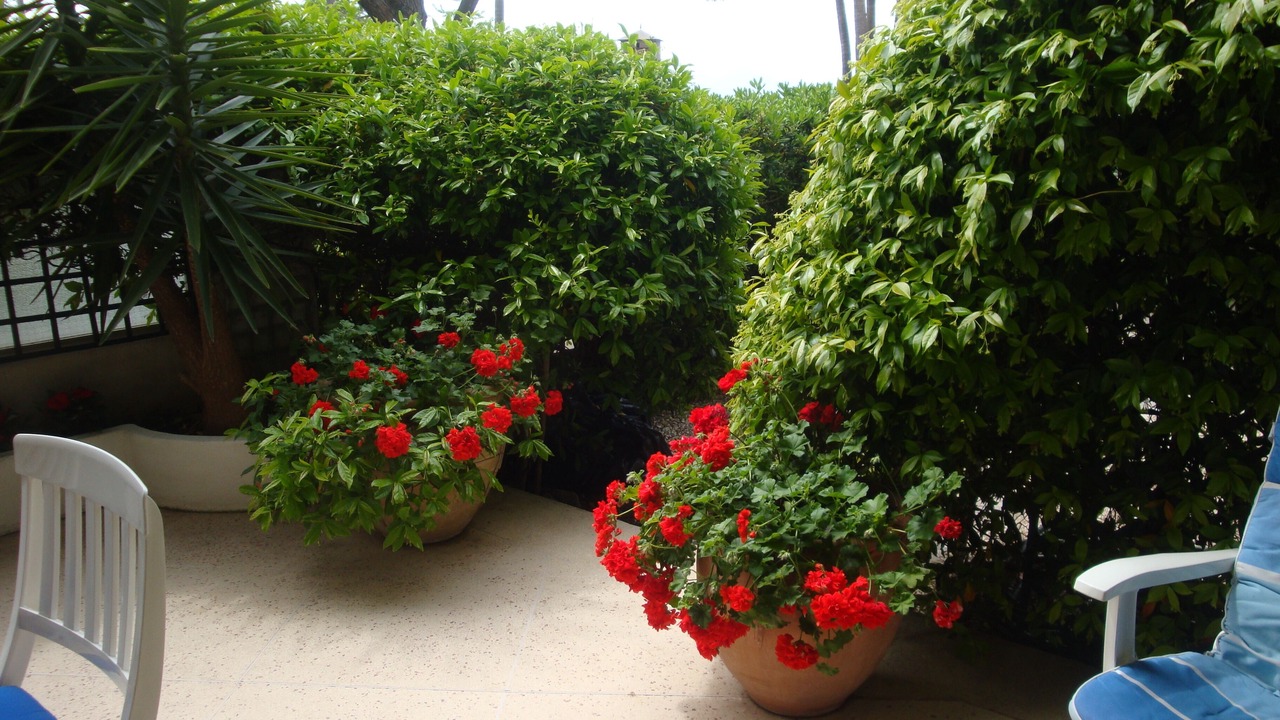 Photo of Patio Balcony in Pointe Croisette