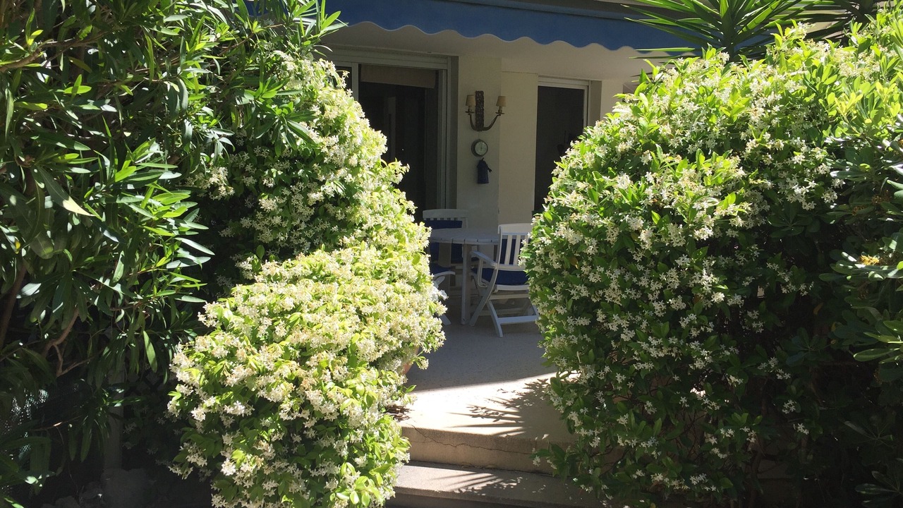 Photo of Outdoor in Pointe Croisette
