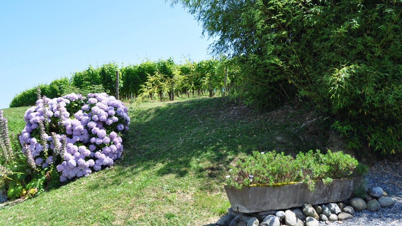 Photo of Outdoor in Pouillon