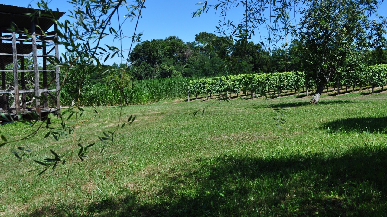 Photo of Outdoor in Pouillon
