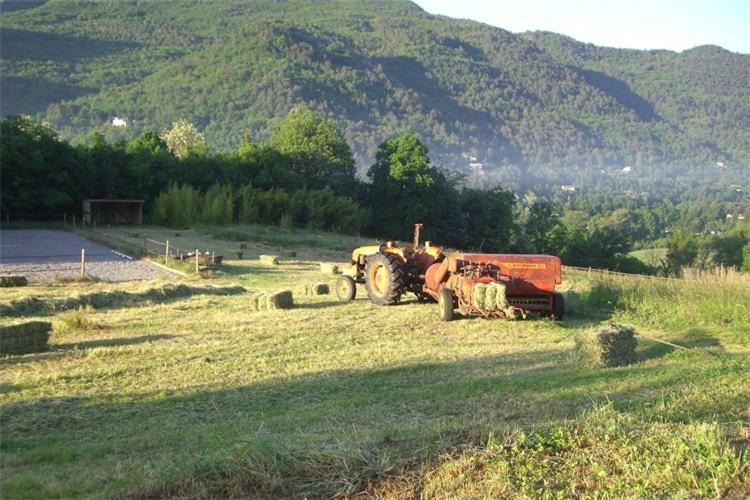 Photo of Outdoor in Sospel