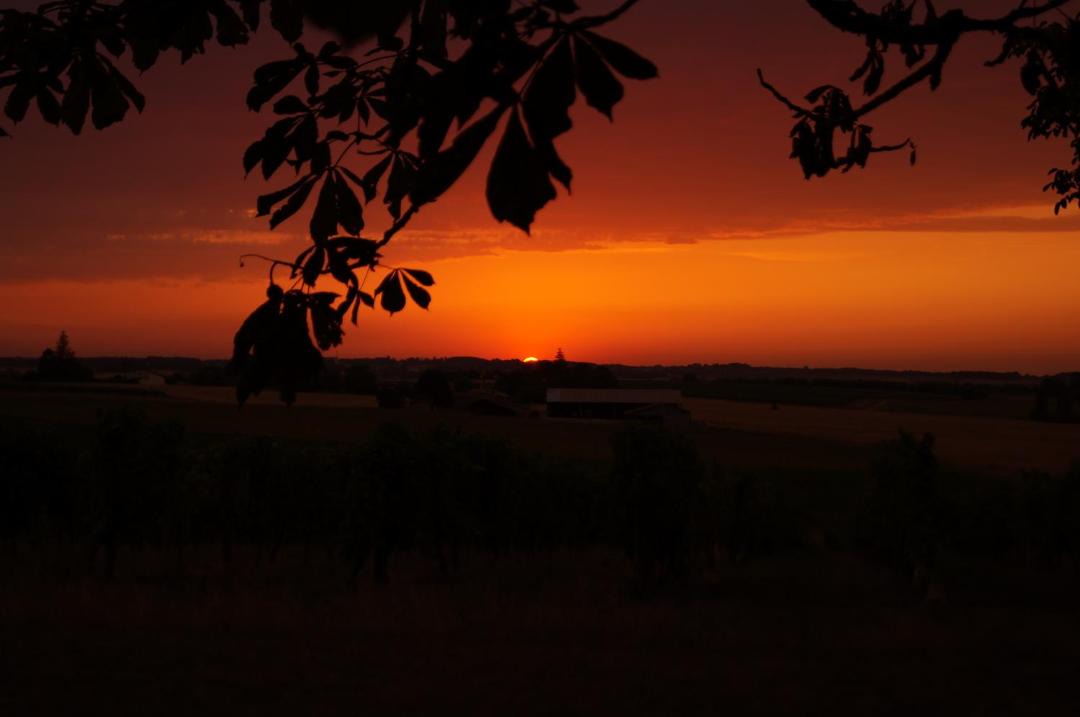Photo of Others in Leoville