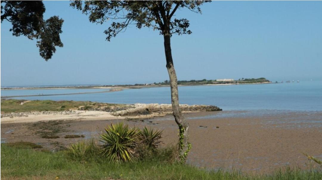 Photo of Others in Port-des-Barques