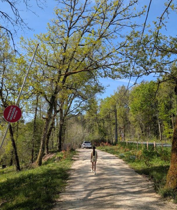 Photo of Others in Trelissac