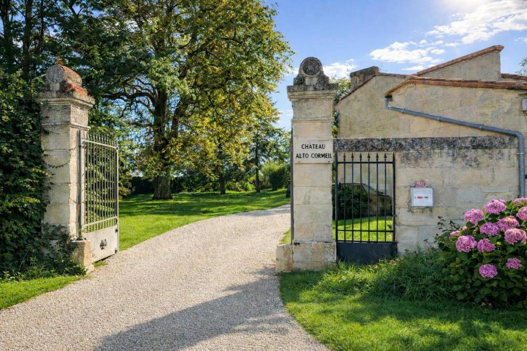Photo of Others in Saint-Emilion
