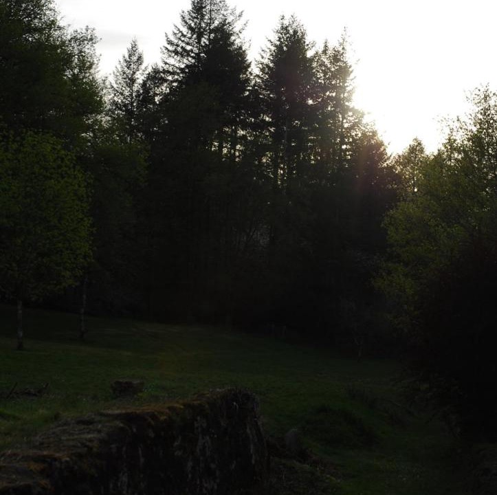 Photo of Others in Compreignac